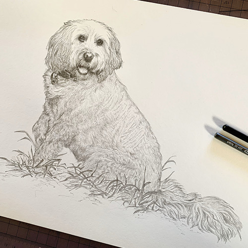 custom dog drawing